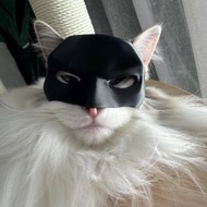 萬聖節系列 寵物貓蝙蝠俠面具 蝙蝠貓cosplay 萬聖節寵物服飾 角色扮演 可愛貓變型貓