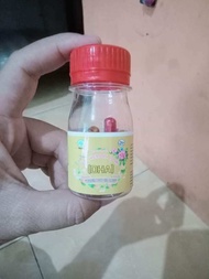DHA diet herbal alami by Ayumi fitri botol kecil kemasan 15 kapsul
