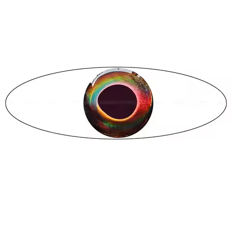 3D Real.Dark (3mm-9mm)/ Soft Molded 3D Holographic Fish Eyes 3mm 4mm 5mm 6mm 7mm 8mm 9mm real dark
