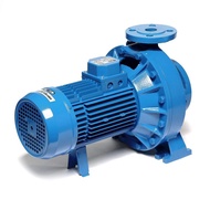 EBARA 3D50-160/5.5 ปั้มหอยโข่ง (หน้าแปลน) 2.1/2 x 2 นิ้ว 7.5 แรงม้า 380 โวลต์ (ไม่รวมหน้าแปลน | รับป