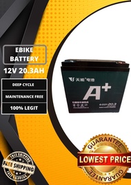 Ebike battery 12V20.3AH Tianneng Brand