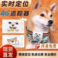 【現貨可開發票】4G寵物定位器gps北斗貓咪防丟神器防走失衛星項圈放牧訂位追蹤器