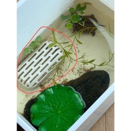 Turtle Feces Collector Turtle Toilet Low Water Level Feces Collector fish tank