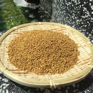 HALBA / FENUGREEK SEEDS
