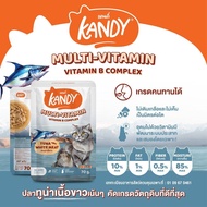 Kandy [ยกลัง 48ซอง] อาหารเปียกแมว แคนดี้ ขนาดซองละ 70 กรัม