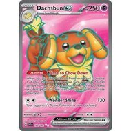 Dachsbun ex 160 Pokemon Stellar Crown