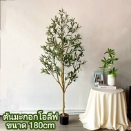 ต้นมะกอกโอลีฟ (พร้อมกระถางดำยกชุด) ต้นไม้ปลอม ต้นไม้แต่งบ้าน ต้นไม้มงคล ต้นไม้แต่งสวน ต้นไม้มินิมอล 
