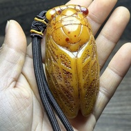 Antique Collection Area Beeswax Cicada Handle Blockbuster Beeswax Handle Blockbuster Beeswax Handle 