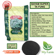 Benih Sayur Bayam Hijau Cabut Super Tafung 500 Gram Atau Potong Bibit Biji Sayuran Ta Fung Siap Tana
