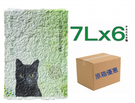 Bioline - 豆腐貓砂 原箱 - 綠茶味 7Lx6 122602