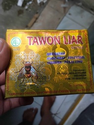 Tawon Liar Kuning Asli