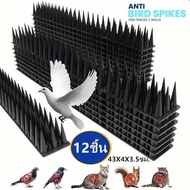 Bird Repellent-Pack Of 12 43x3x4 Cm. Anti-Static Plastic Anti Spike