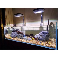 Crystal clear glass Braceless fish tank 90x45x45cm 10mm