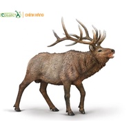 Animal model: Gray elk (Genuine)