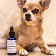 Glacier Peak Gold | Yeast Infection Support | Holistic Healthcare for Dogs & Cats