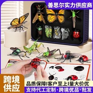 Educational Assembly Toys Simulation Year Old Animals 3-6 New Style Children Cross-Border Insect Ani