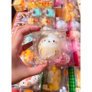 Collection Of Squishy ibloom Brand Authentic ibloom