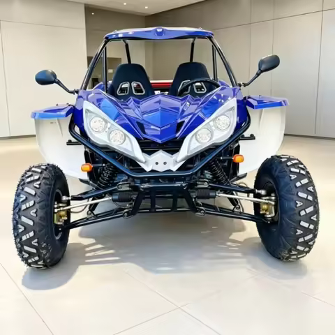 Raxen New Arrival Off-road Go Kart 300cc in Stock CE Certified Mountain Trails