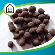 AP+ 1 pack (1L)/ 3 packs (3L) Hydroton, LECA or clay pebbles for hydroponics gardening