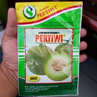 [✅Ready] Bibit Melon Pertiwi Anvi Anti Virus F1