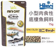 [HAPPY水族]日本 Hikari 高夠力 小型肉食性底棲魚飼料 75g 沉水性 肉食魚 魚飼料 HK-28504