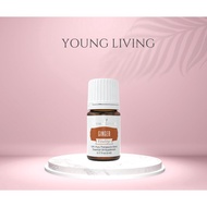 Young Living YL Ginger EO Flavoring 5ml