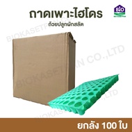 ถ้วยปลูกผักสลัด 80 หลุม หนา 0.50 มม. ยกลัง100ใบ ผักไฮโดร ไฮโดรโปนิกส์ ถาดเพาะ ถาดเพาะเมล็ด ถาดเพาะกล