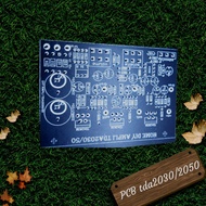 PCB amplifier 2.1tda2030/2050