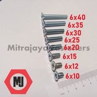 JF M6x10 Screwdriver Bolt +