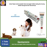 Obat Luka Hewan-Salep Gentamicin obat luka-mencegah infeksi anjing dan kucing