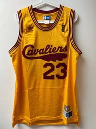 NBA 球衣 jersey LBJ 騎士 黃羽毛版 23號 James L碼