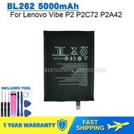 For Lenovo Vibe P2 P2C72 P2A42 BL262 5000mah Phone Battery