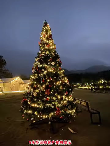 Large Christmas tree four 4 meters 5 meters 6 meters encrypted Christmas tree