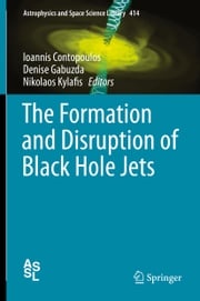 The Formation and Disruption of Black Hole Jets Denise Gabuzda