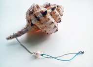 Sea Breeze系列自家設計淡水珍珠手鏈