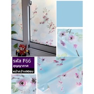 Frosted/Vacuum Glass Film