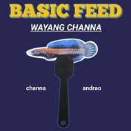 Wayang Untulan Maenan Ikan Channa Blue Pulchra | Ikan Channa Barca |