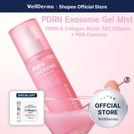 [WellDerma OFFICIAL] PDRN Exosome Hydrating Gel Mist 100ml | Collagen Water 587,700ppm & Milk Exosom