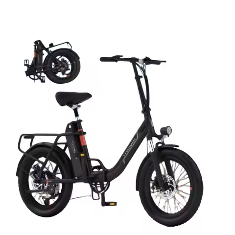 EB11 Brushless Electric Bicycle 1000W Motor 48V10.4AH Removable Battery electric bike 40km/h 20 Inch