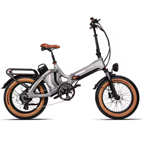 MIHOGO ONE Adult Electric Bicycle, 750W city ebike, 48V 12.8+16AH E-bike, 20-Fat Tire Foldable Elect