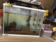 GEX 魚缸連加熱棒及裝飾
