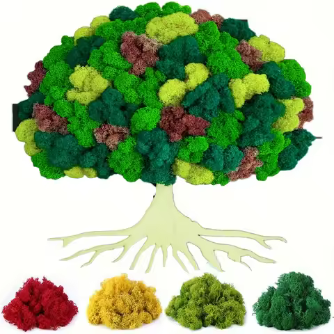 Forever Reindeer Moss, Forever Moss Bulk, Colorful Moss for Craft Wall Decor Fairy Garden Glass Cont