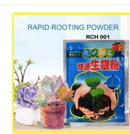 Serbuk rooting cepat (mempercepat akar tumbuh pesat) / rooting powder