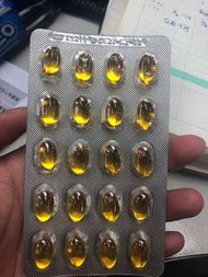 七海健諾