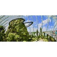 Garden by the bay cheap ticket discount flower and cloud forest domes Floral Fantasy Supertree Super tree. flyer Zoo