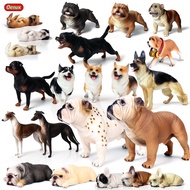 Children Solid Simulation Wild Animal Model Bulldog Doberman Husky Corgi Shiba Inu Pet Dog Toy