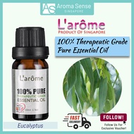 L'arome Eucalyptus Essential Oil, Pure Aromatherapy Grade (10ml)