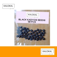 Kalokal Black  Kadyos Pigeon Pea Vegetable Seeds 50 pcs, For Planting