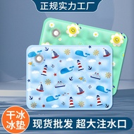 Ice Pad Summer Pet Ice Pad Dry Ice Ice Crystal Powder Water Injection Type Dog Ice Pad Cat Cool Pad 