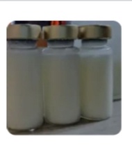Ubat Lembu Bengkak kaki LSD Demam sakit mata FMD